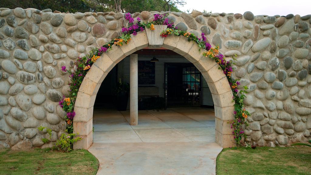 Pagua Bay House - Oceanfront Cabana'S Marigot Eksteriør bilde