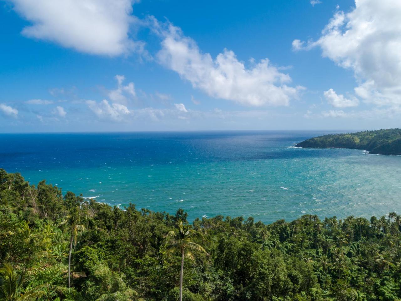 Pagua Bay House - Oceanfront Cabana'S Marigot Eksteriør bilde
